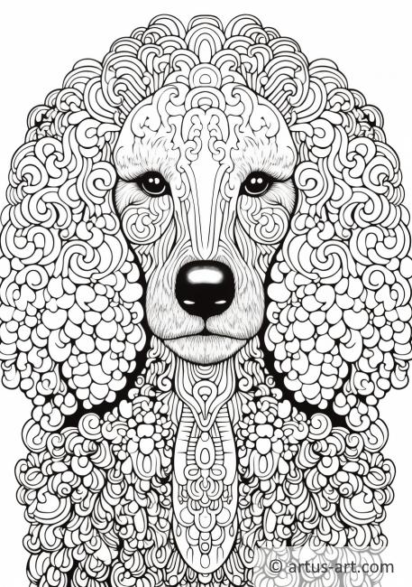 Poodle Coloring Page